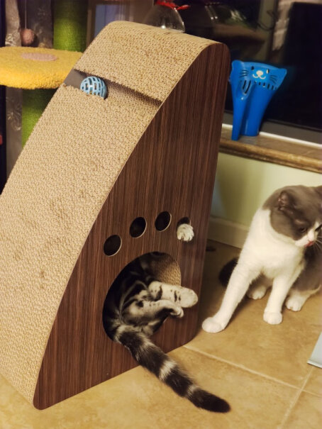 猫抓板伊丽猫咪立式猫抓板磨爪器猫抓柱防抓沙发瓦楞纸耐磨猫咪用品怎么样？哪个更合适？