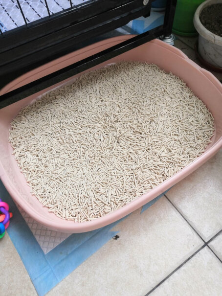 N1玉米豆腐猫砂3.7kg*3袋+猫砂伴侣700g*3袋绿色的猫砂 如果尿血 能不能看出来？