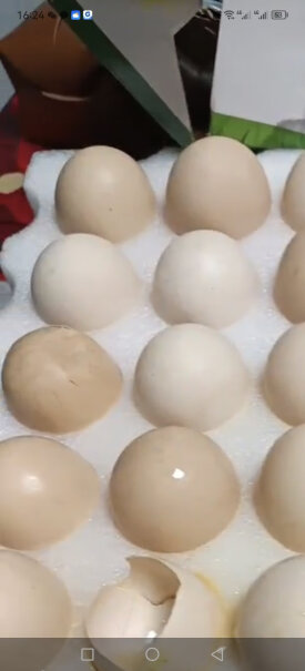 京鲜生 鲜鸡蛋30枚/盒 健康轻食真的好吗？这就是评测结果！