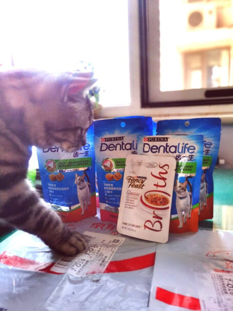 猫零食Dentalife齿一生大家真实看法解读,质量好吗？