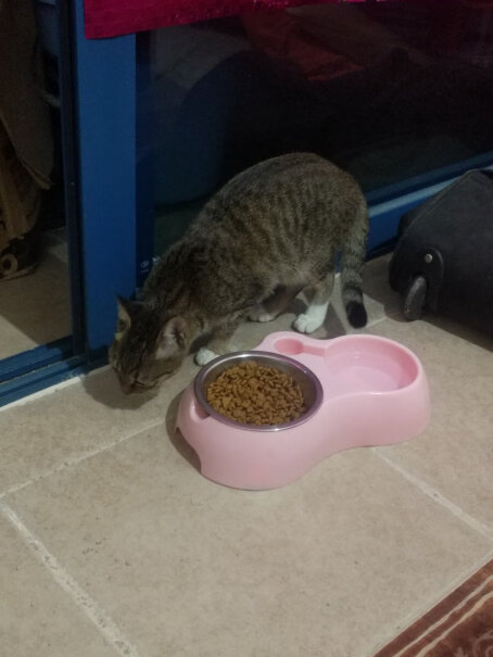 雷米高猫钙片宠物猫咪软骨素呵护关节猫多维奶贝160片两个月的小猫可以吃吗？