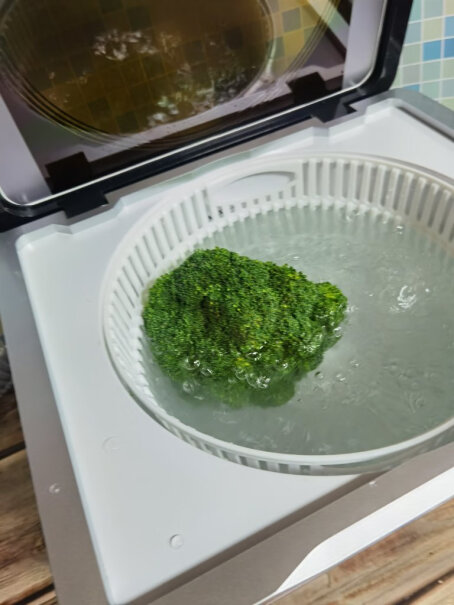 德国尊梵果蔬清洗机洗菜机家用多功能全自动杀菌去农药食材净化机什么原理，都有什么功能？