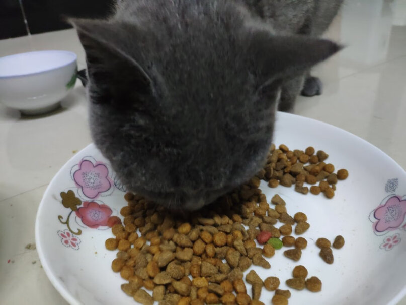 亿迪冻干猫粮天然猫粮3斤成猫幼猫通用型宠物粮自营1.5kg楼下撒了一点。一天都没被吃掉&hellip; 流浪猫都不吃啊&hellip;
