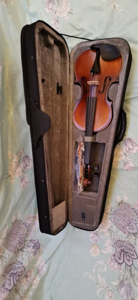 小提琴塞尔夫SCHAAF1只选对的不选贵的,评测哪款质量更好？
