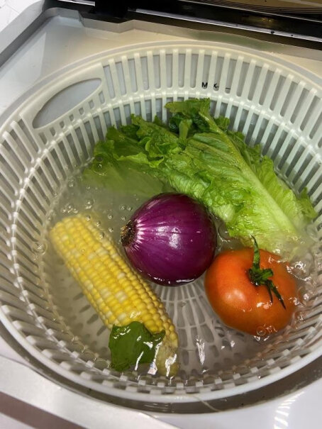 德国尊梵果蔬清洗机洗菜机家用多功能全自动杀菌去农药食材净化机蔬菜水果功能洗多少？