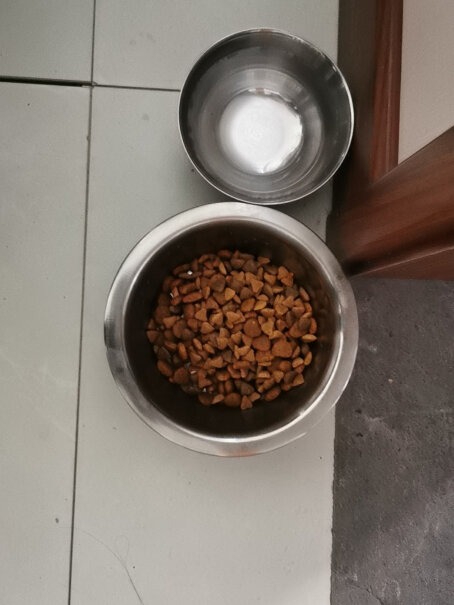 伯纳天纯狗粮中大型幼犬粮4kg阿拉斯加边牧拉布拉多八个月柯基可以吃这个吗，吃营养内个还是底敏的？