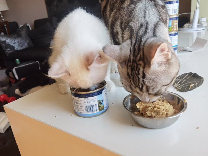 猫主食罐ZiwiPeak巅峰猫罐头新西兰进口主食罐头185g好不好,哪个更合适？