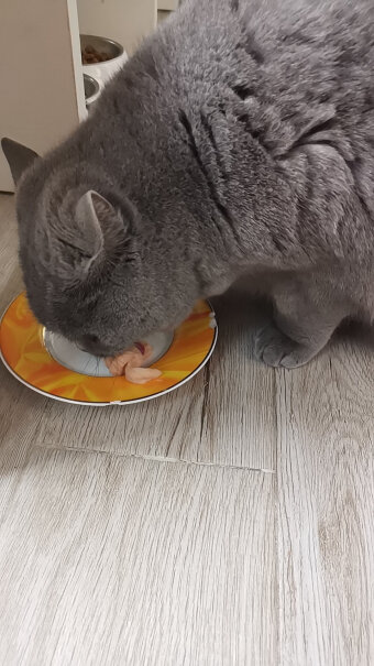 猫零食顽皮猫零食猫饼干混合装320g成幼猫咪宠物零食小白必看！质量真的好吗？