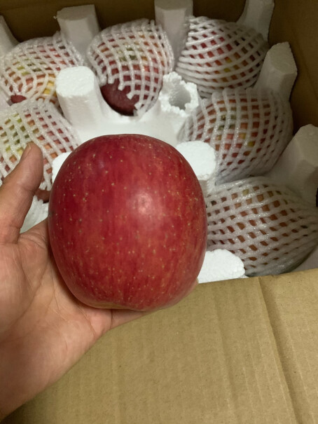 京觅苹果新疆冰糖心苹果整箱10斤净重8.5斤评测结果好吗,入手使用1个月感受揭露？
