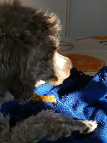 YAHO亚禾狗狗训练用零食一个多月的泰迪能吃吗？