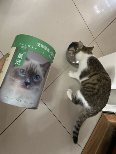 最宠PaddyTime猫零食金枪鱼猫条500g10g*50猫咪40多天。可以吃吗？