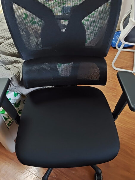 菲迪-至成人体工学椅电脑椅 学习办公座椅反馈怎么样？详细评测分享