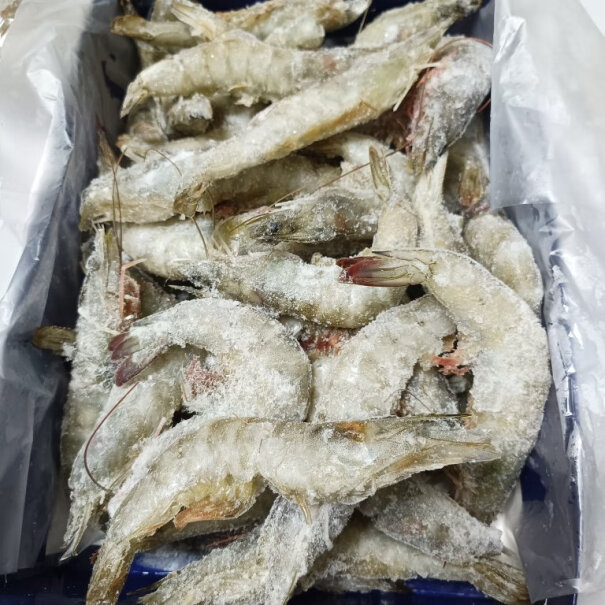 京鲜港 厄瓜多尔白虾1.5kg 大虾盐冻 海鲜烧烤简单易上手吗？图文评测，一目了然！
