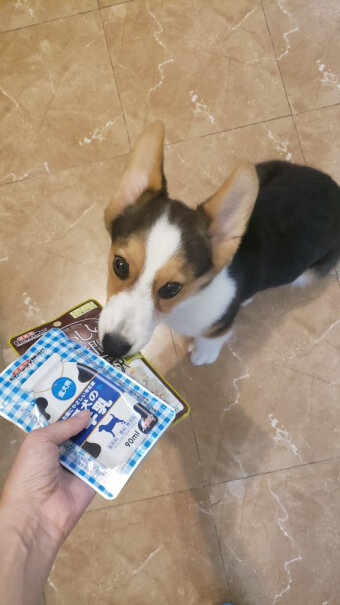 狗零食日本多格漫爱犬牛乳多少钱？来看看买家说法？