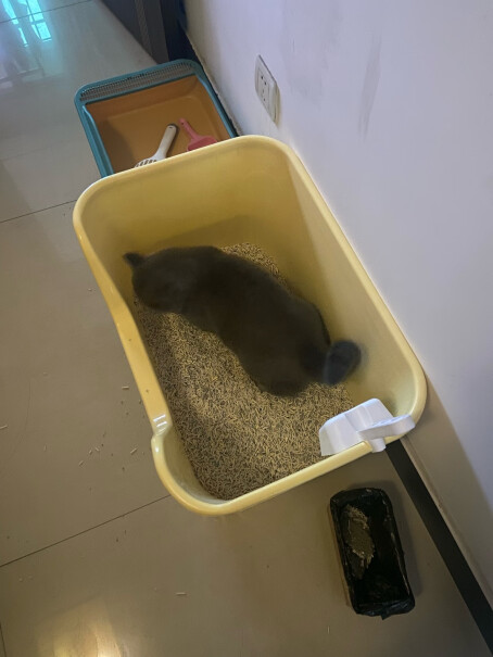 泡咔猫砂 强力除臭混合猫2.5kg评测质量好吗？深度评测揭秘剖析？