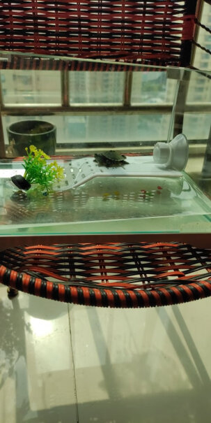 爬宠用品森森乌龟缸带晒台龟缸乌龟别墅生态养龟的专用缸家用鱼缸玻璃缸评测哪款质量更好,评测结果好吗？