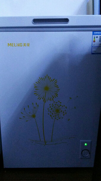 美菱MELING207升家用冰柜到了放多久使用比较好？
