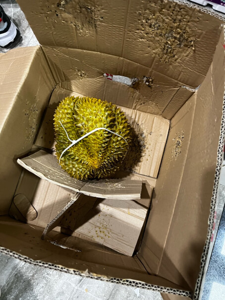 泰国进口金枕头榴莲2-4个装有人买到的果子 打开发现是速冻过的熟透了的么？害得我一天吃完，不然就坏。？