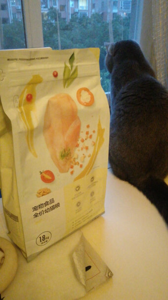 网易严选全价幼猫粮居家宠物主粮幼猫猫咪食品这个猫粮咸吗？