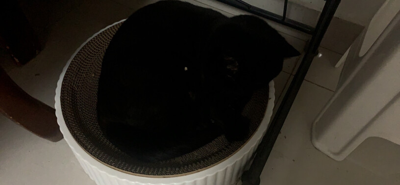 petofstory肥猫专用收到货外面有塑封吗？我看别人晒单都有，我怎么收到的就是猫抓碗塞盒子里。