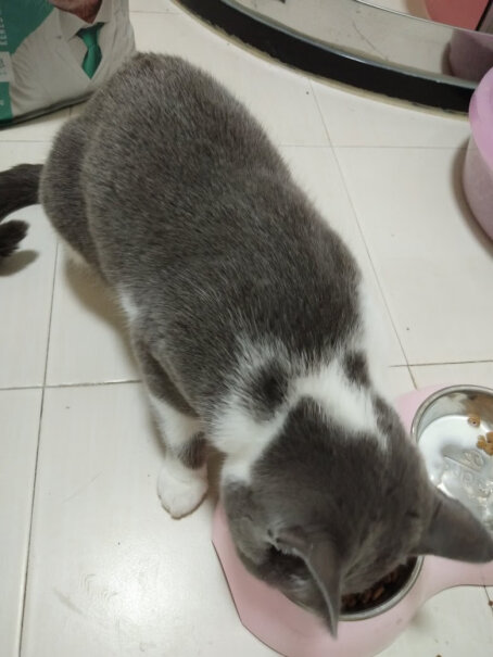 凯锐思幼猫猫粮1-4个月奶糕深海鱼三文鱼鱼肉幼猫粮天然粮猫咪喜欢吃吗 比较挑食？
