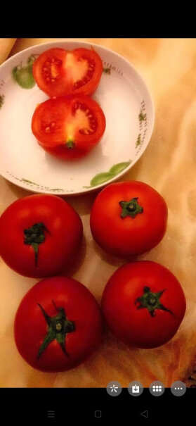 未知沙瓤斤装普罗旺斯生吃时令番茄柿子西红柿到底是不是智商税？优缺点质量分析参考！