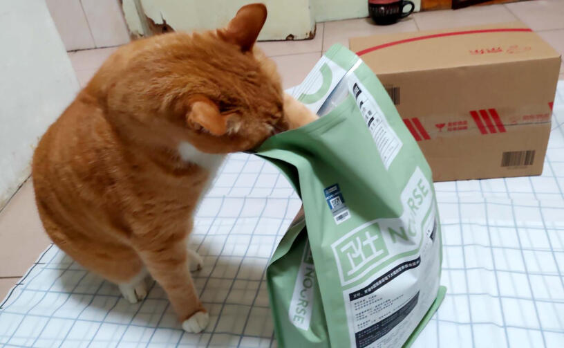 卫仕猫粮全价全阶段10kg有没有诱食剂？