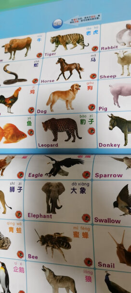 猫贝乐智能有声挂图本婴幼儿童玩具中英文早教点读机点读笔套装质量可以吗？