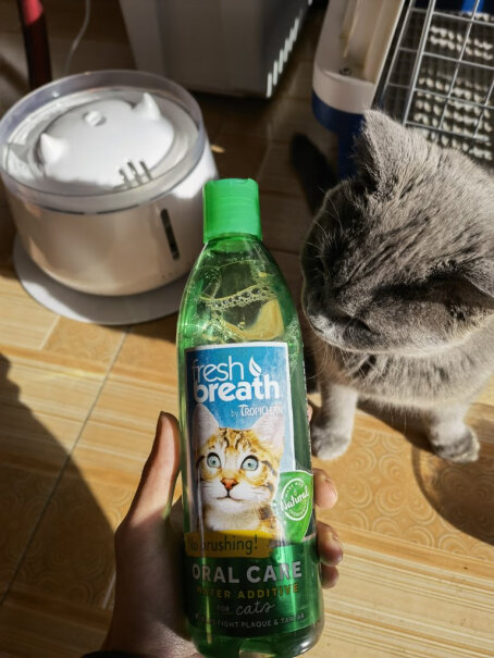 多美洁FreshBreath用了这个就不用给猫刷牙了么？