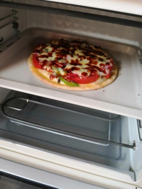 电烤箱柏翠petrus哪个性价比高、质量更好,功能真的不好吗？