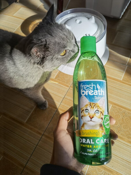 多美洁FreshBreath用了这个就不用给猫刷牙了么？