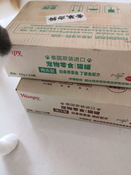 猫零食泰国进口顽皮猫罐头入手评测到底要不要买！最新款？