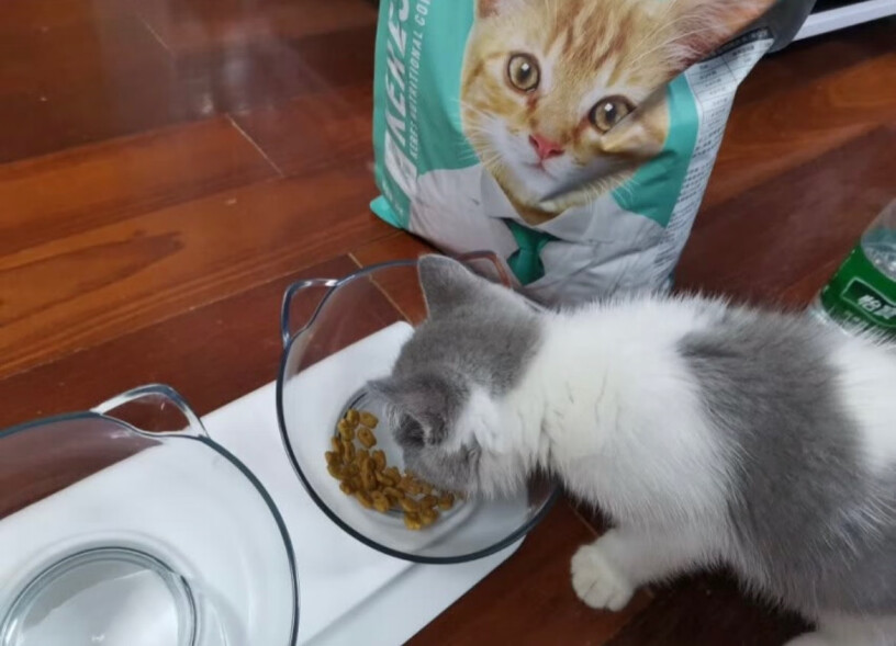 凯锐思幼猫猫粮1-2-4-12个月奶糕深海鱼鱼肉幼猫粮天然粮三个多月处于换牙期可以吃吗好咀嚼吗？