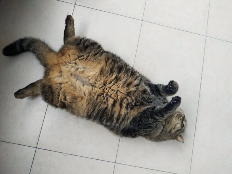 妙多乐猫粮室内成猫1.5kg全价猫粮这是哪里产的？