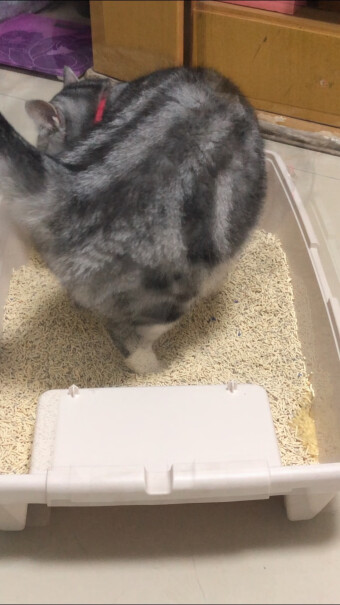 pidan混合猫砂矿土豆腐款这个送猫砂铲吗？