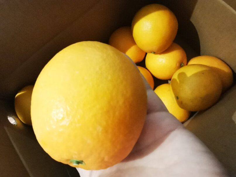 橙之味 赣南脐橙 新鲜礼盒 5斤简单易上手吗？真实评测体验曝光！