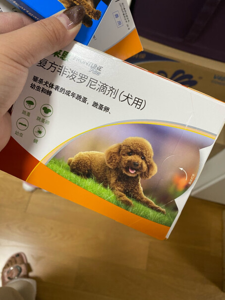 犬心保狗体内驱虫药宠物狗驱蛔虫钩虫预防心丝虫药品大型犬L号母狗发情期间可以吃吗？