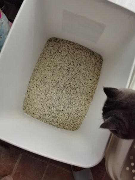 猫乐适膨润土猫砂特细原矿3秒结团低尘猫沙出口品质请问大家标准号的外面是磨砂还是亮面啊？