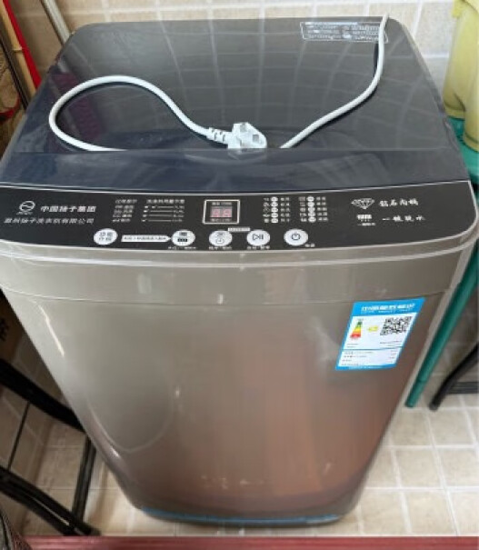 扬子嘉丽全自动洗衣机10公斤请问是海尔品牌的吗？