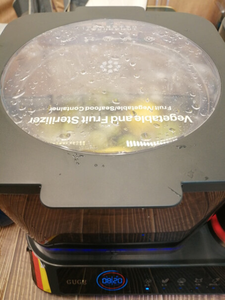 德国谷格果蔬清洗机全自动洗菜机家用肉类消毒多功能蔬果净化器两个桶都可以消毒吗，是可以同时进行吗？