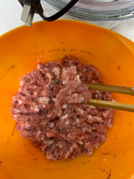 九阳绞肉机切菜碎肉料理机嗯干会计资料如何能不能用？
