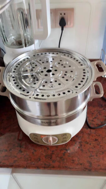 多用途锅苏泊尔苏泊尔电蒸锅可以入手吗？质量好吗？