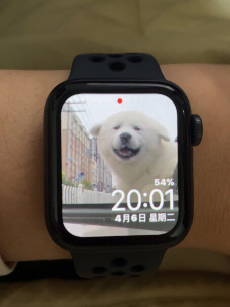 智能手表Apple Watch Nike Series 6 40mm M00X3CH/A冰箱评测质量怎么样！来看看图文评测！