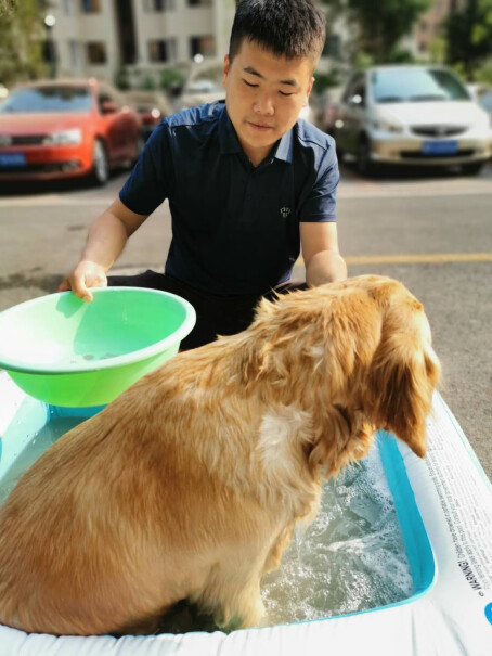 冠能狗粮幼犬2.5kg小型犬全价犬粮3个月比熊可以吃么？