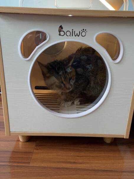 百我（baiwo宠物烘干机猫咪木制猫屋暖猫窝可以拿来做猫窝吗？毕竟就吹几次风有点浪费？