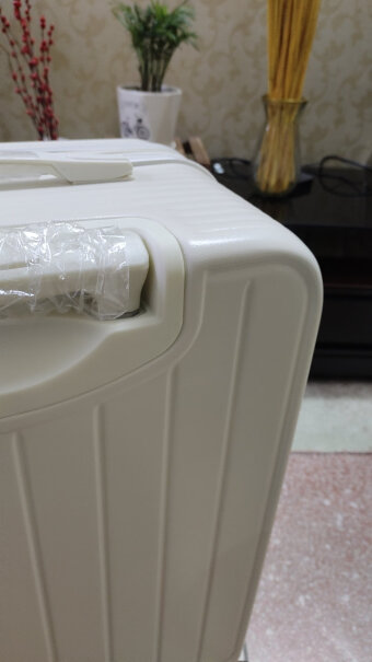 REDOO 行李箱 26英寸 牛油果绿评测好不好用？来看看买家评测！