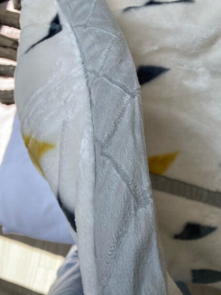 北极绒毛毯拉舍尔毯子四季通用双层盖毯午睡空调毯是不是图上看到的都有呢？