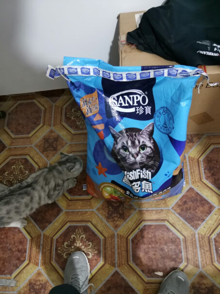 珍宝猫粮喜多鱼全价成猫鸡肉味问&lt;我是你的小阿飞&gt;好吃吗？