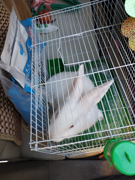 洁西幼兔专属轻奢口粮2.5kg侏儒兔也可以吃吗？