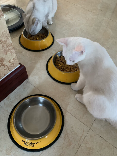 ROYALCANIN可以吃，我家两只猫都在吃？